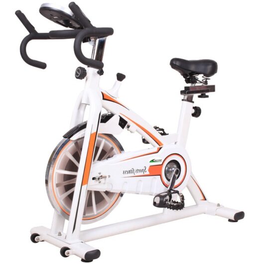 PowerTech S4000 Racing Exercise Bike